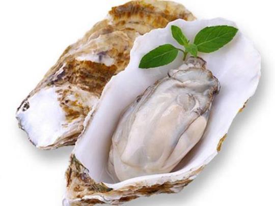 牡蛎的功效与作用及食用方法