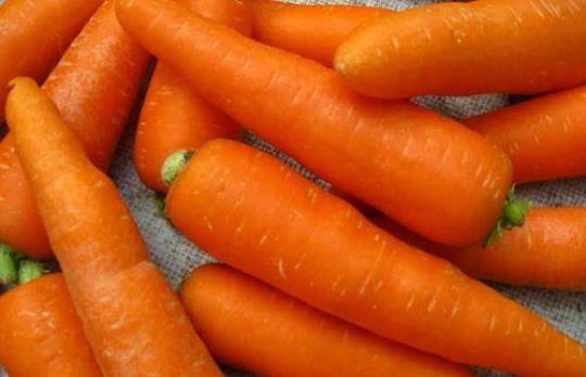 生胡萝卜的营养价值有哪些