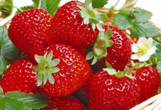 空腹是否可以吃草莓及草莓的营养价值