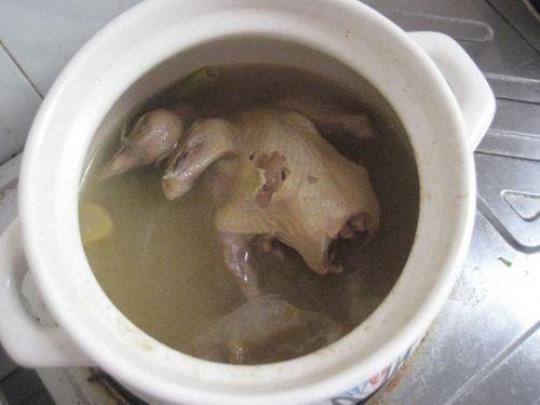 红豆鸽子汤的做法及功效