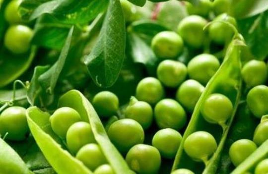 豌豆的营养成分以及价值