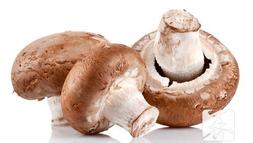 香菇的营养价值，不仅好吃而且又营养 新鲜香菇的营养价值及功效与作用