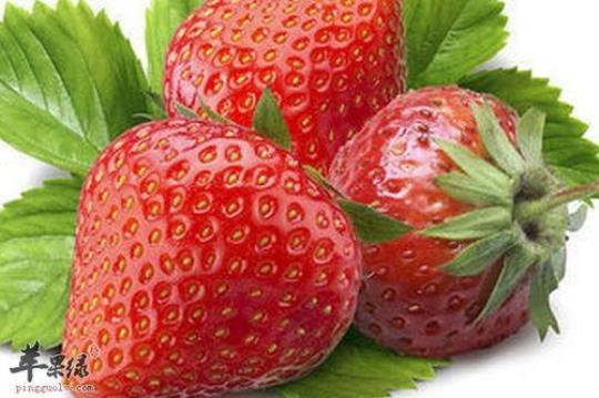 草莓含有什么营养物质？