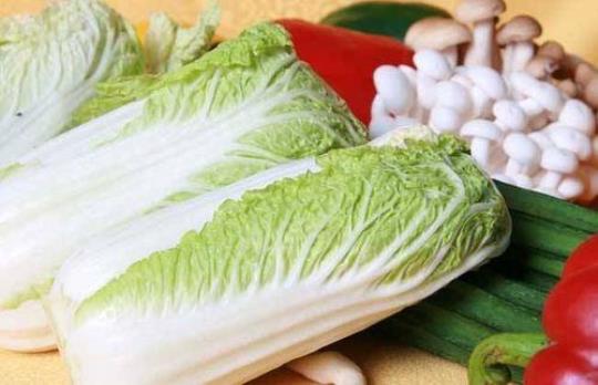 大白菜菜的营养价值是什么？