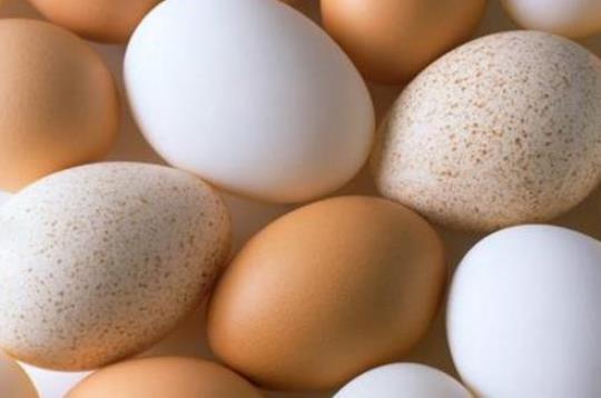 鸡蛋壳的营养价值高吗？