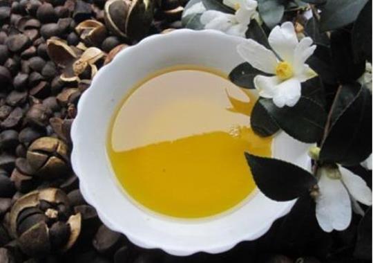山茶子油的功效与作用有哪些？