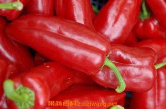 辣椒的营养价值及功效有哪些？