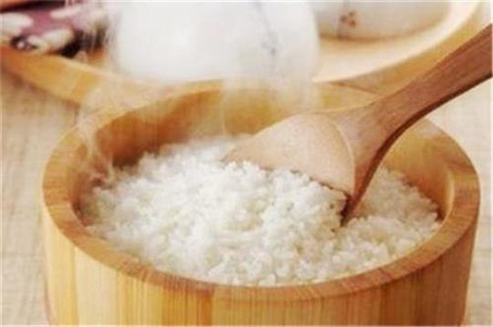 米饭蛋白质营养高吗？