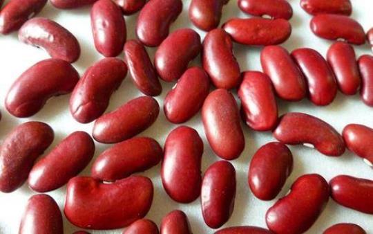 红芸豆作用有哪些
