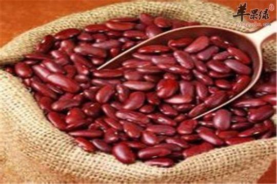 红芸豆营养成分有哪些