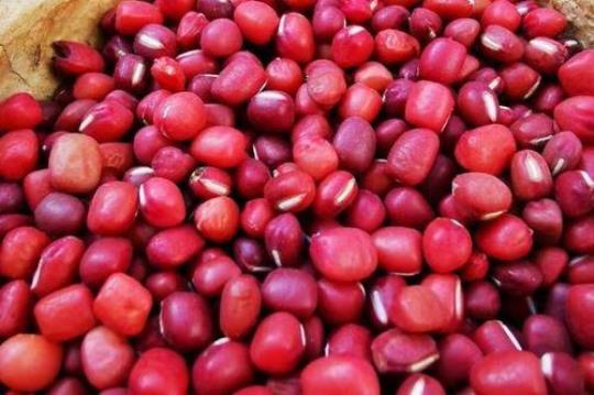 红小豆的营养有哪些
