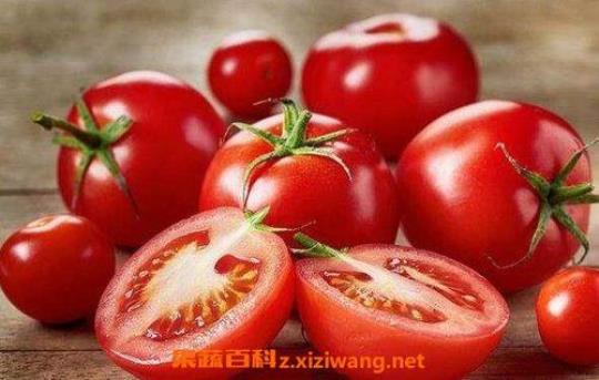 西红柿素的作用有哪些呢