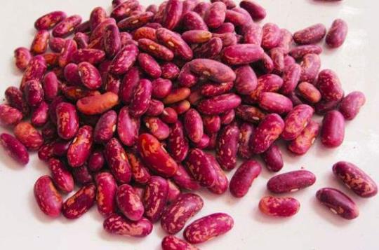 紫芸豆营养价值