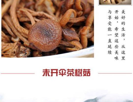 茶树菇营养成分有哪些