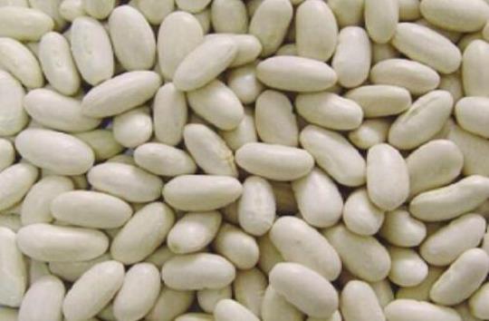白芸豆的营养价值