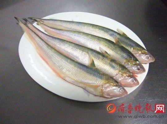 长江刀鱼的营养价值有哪些