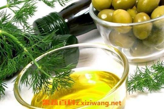 橄榄油的营养价值及功效