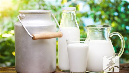 冬季养生饮品之牛奶 冬季养生饮品推荐
