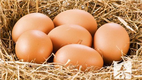 吃鸡蛋也要讲究搭配，不适当的搭配会对身体造成不利影响 鸡蛋搭配炒菜