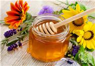 蜂蜜水的作用与功效，吃蜂蜜有什么好处？ 枸杞蜂蜜水的作用与功效