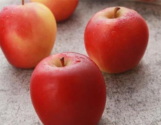 苹果籽的功效与作用有什么