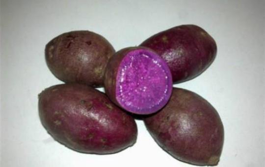 紫薯与白薯哪个营养价值更高？