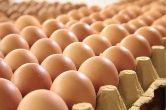 蛋壳颜色深浅 营养价值有什么差异？