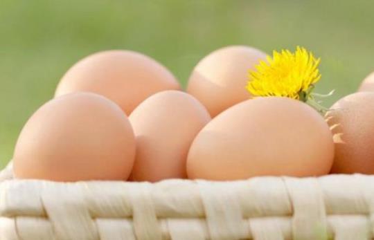 早上吃鸡蛋有什么好处呢