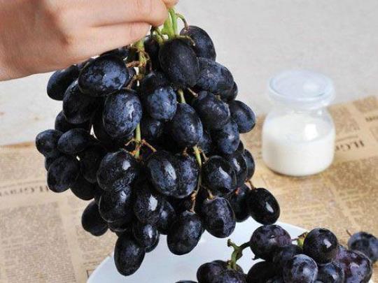 黑提葡萄的营养价值有哪些