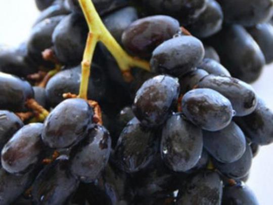 黑葡萄的营养价值有哪些