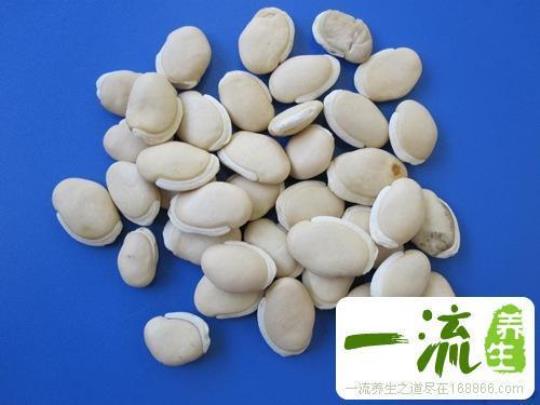 白扁豆的功效与作用是什么