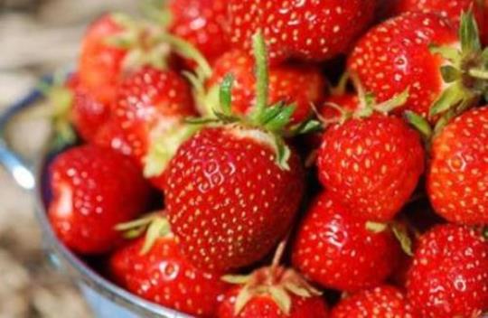 吃草莓的好处与坏处有哪些