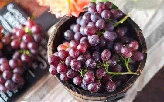 葡萄和提子哪个营养价值高呢