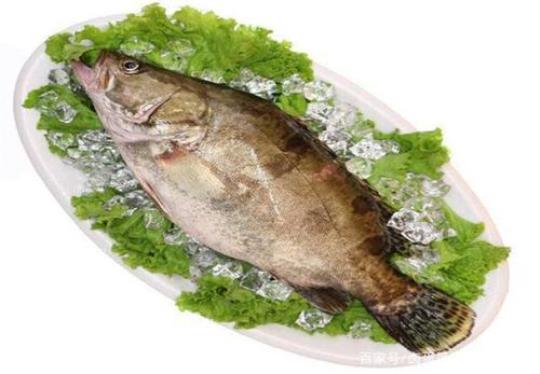 桂鱼营养高功效多 怎么做好吃？