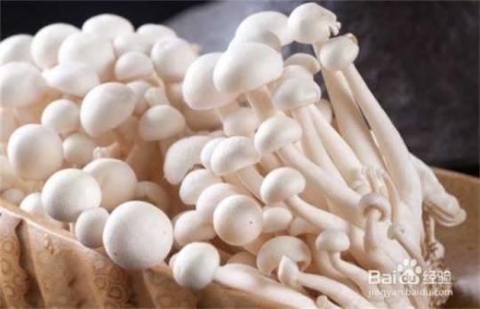 蘑菇有何功效 各种蘑菇“各有所长”！