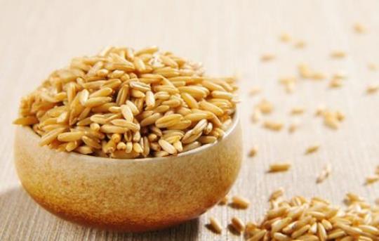 燕麦米的功效与作用有什么？