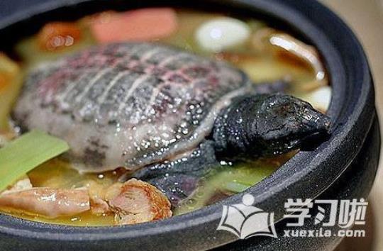 甲鱼羊肉汤的做法