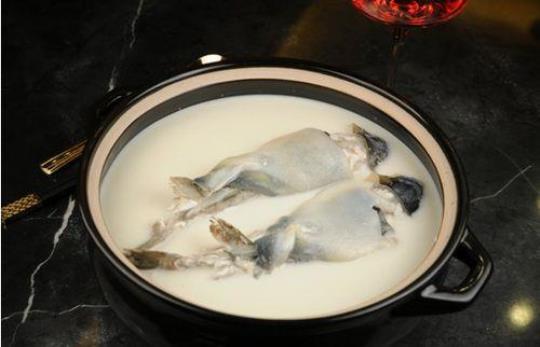河豚鱼汤的做法介绍