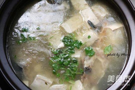 砂锅鱼头汤的做法是什么？