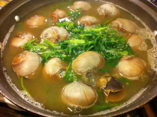 海螺肉煲汤是什么