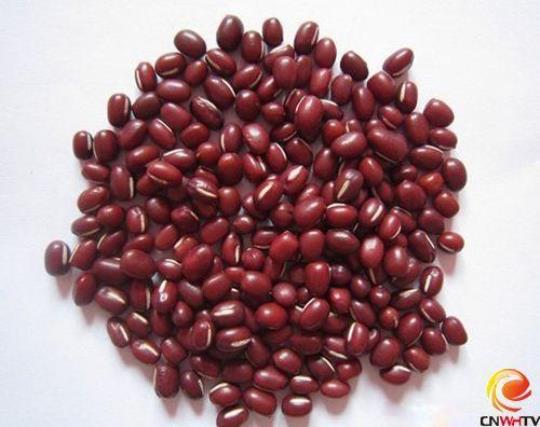 红豆和赤小豆的区别及其养生功效