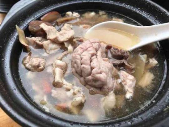 常见猪脑汤的做法 营养美味就这么简单！