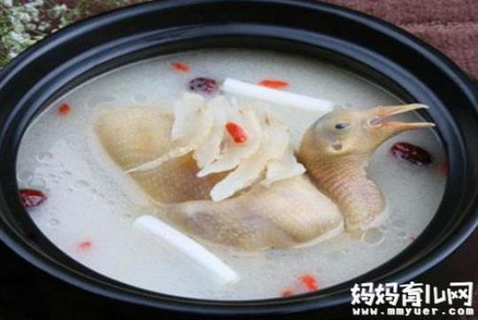 产后鸽子汤的做法是怎样的