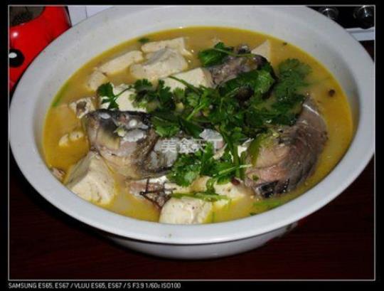 鲤鱼炖豆腐汤