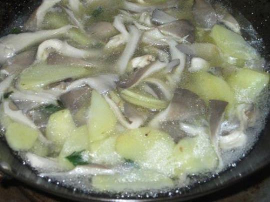 蘑菇土豆汤的做法是什么
