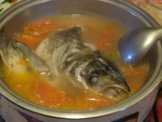 西红柿鱼头汤怎么做？