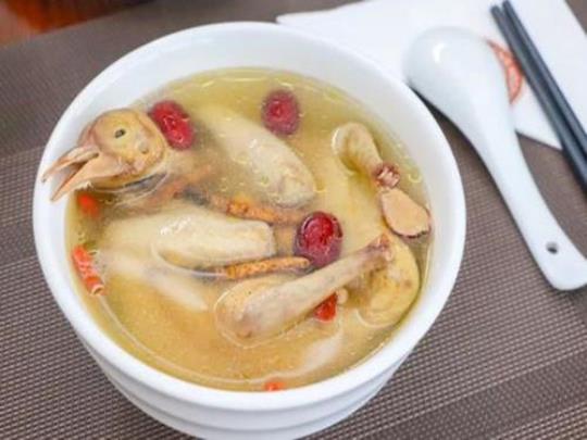 鸽子下奶汤的做法是什么