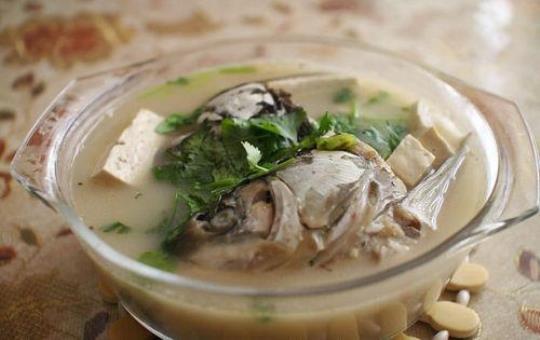 正宗鱼头豆腐汤如何做？