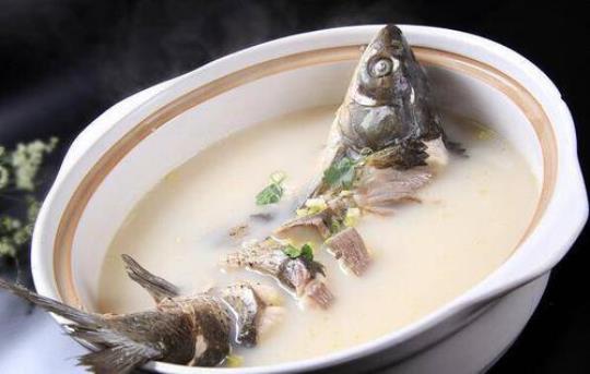 鲤鱼丝瓜汤的做法有哪些