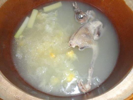 银耳鸽子汤的做法